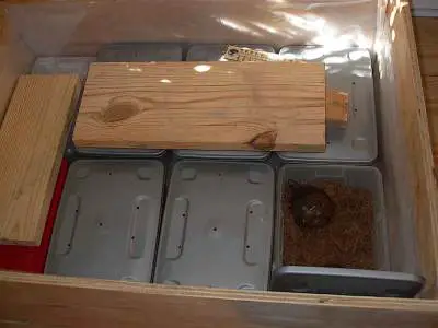 Box turtle hibernation box