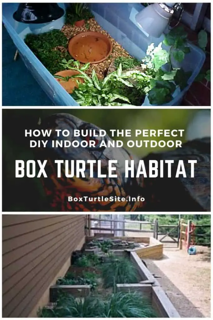 How to build your own DIY box turtle habitat. Instructions to build an indoor box turtle tank and a box turtle habitat outdoor.