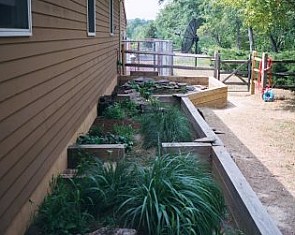 Ideal box turtle habitat