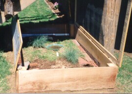 Partially in-ground box turtle enclosure 1