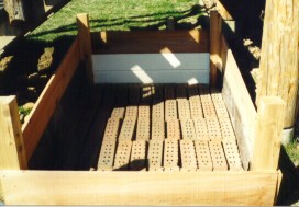 Partially in-ground box turtle enclosure 2