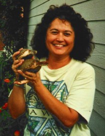 Tess Cook creator of boxturtlesite