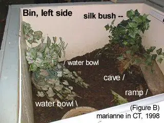 The plants inside the habitat